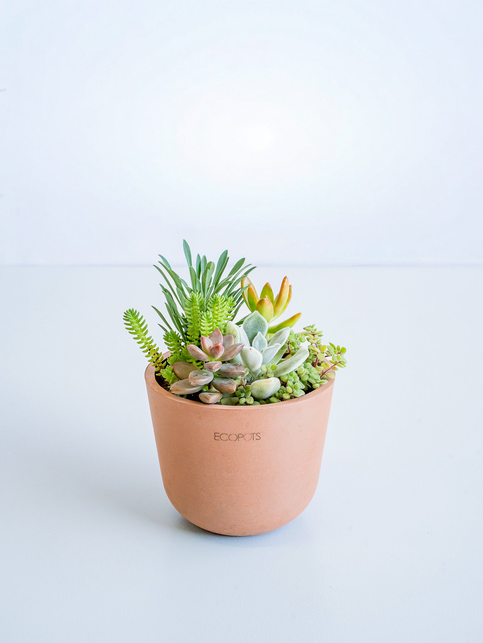 アン☆様　多肉植物棚　TD-YW83変更あり アン☆様 多肉植物棚 TD-YW83 変更あり