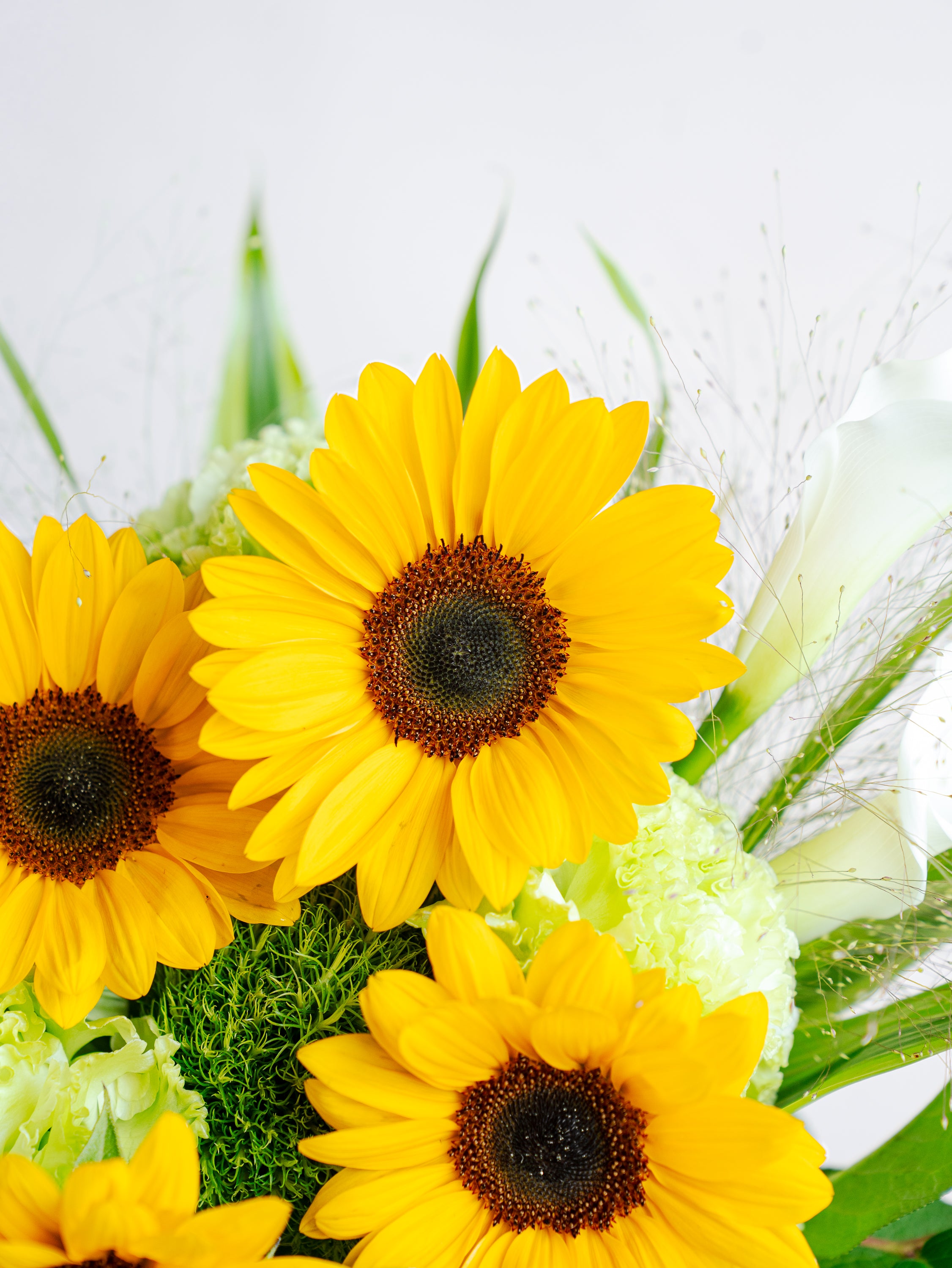 ひまわりの爽やかな花束 L | お花の通販AND FLOWER (アンドフラワー)