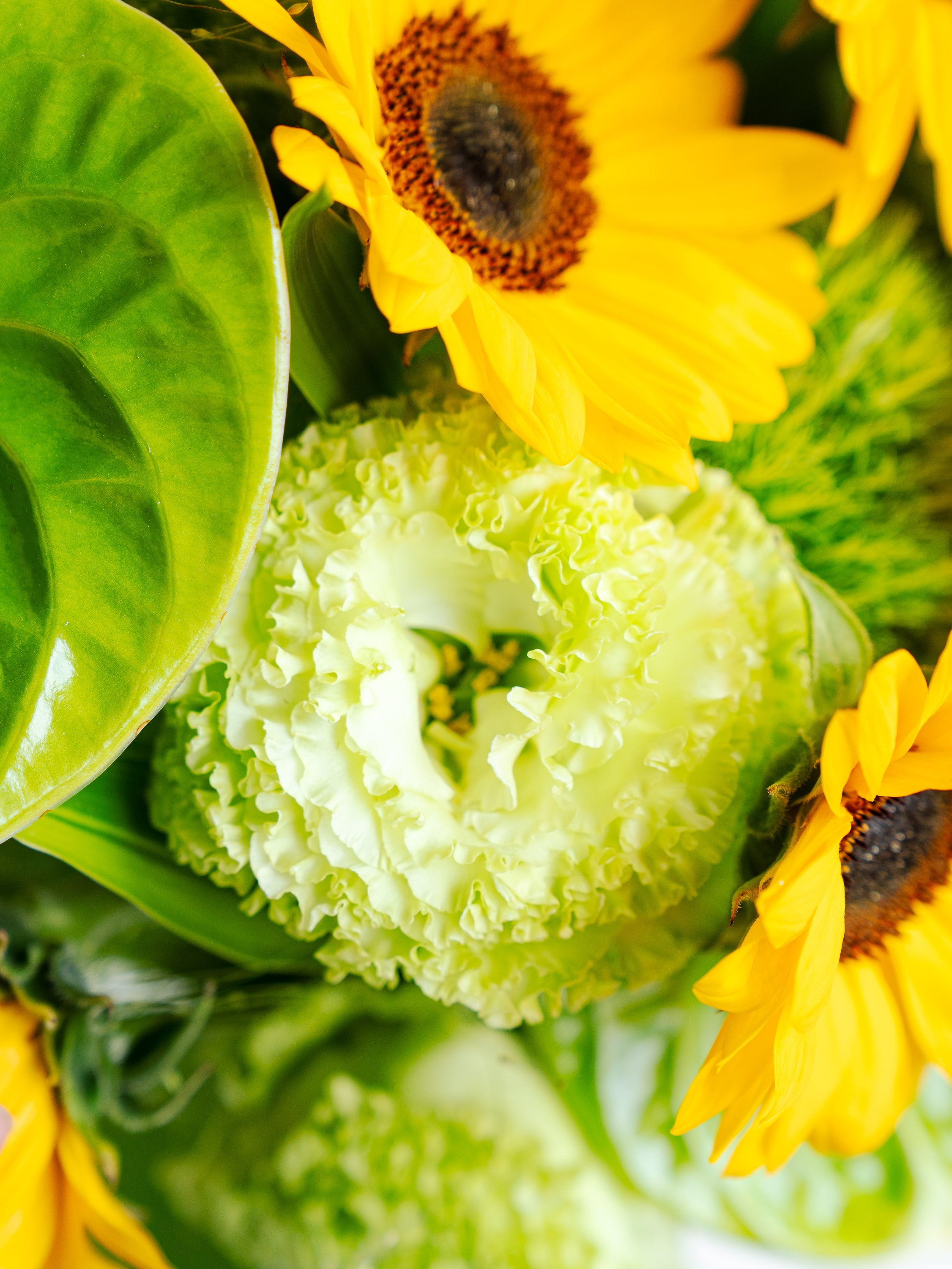 ひまわりの爽やかな花束 L | お花の通販AND FLOWER (アンドフラワー)