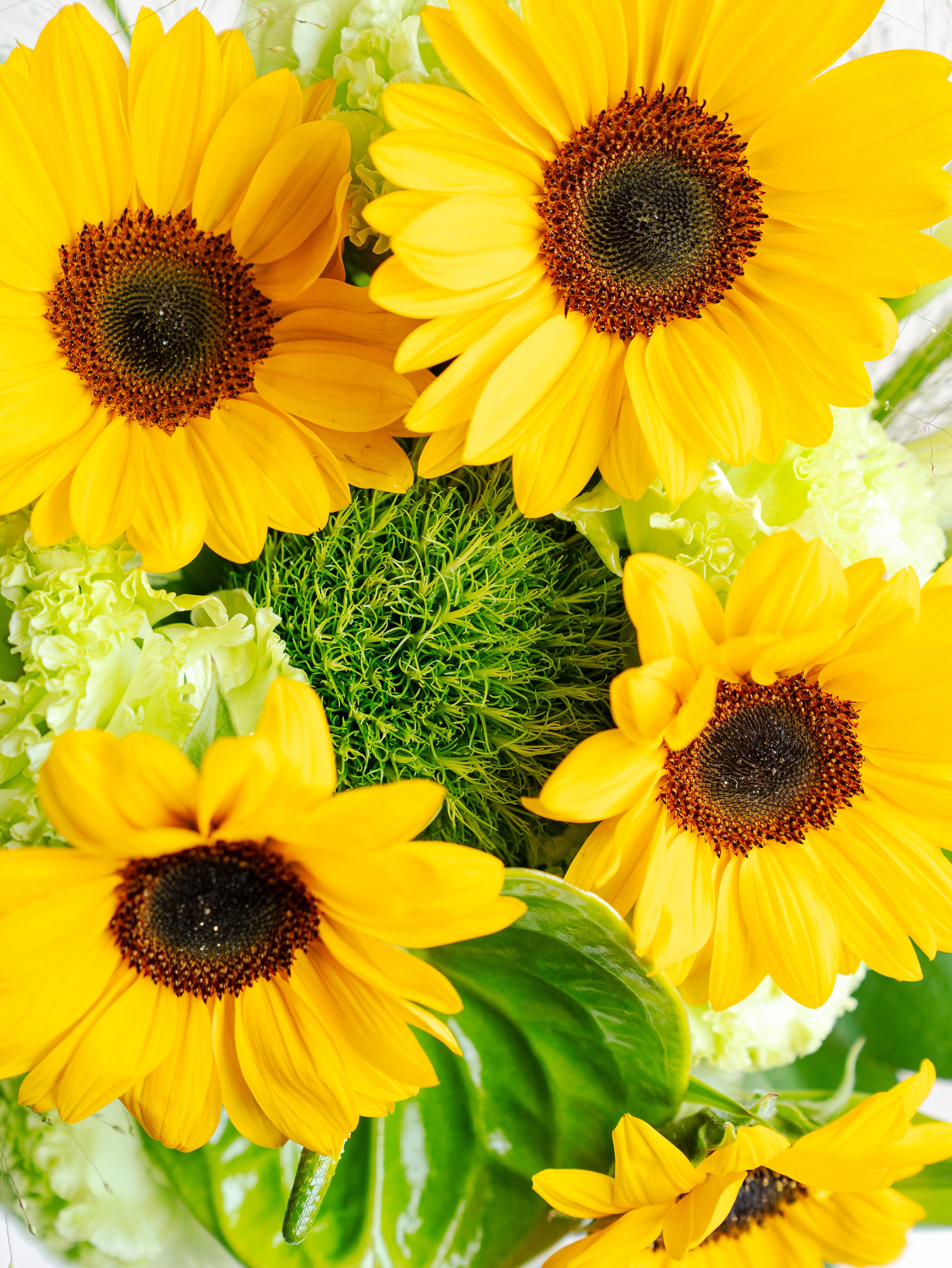 ひまわりの爽やかな花束 L | お花の通販AND FLOWER (アンドフラワー)