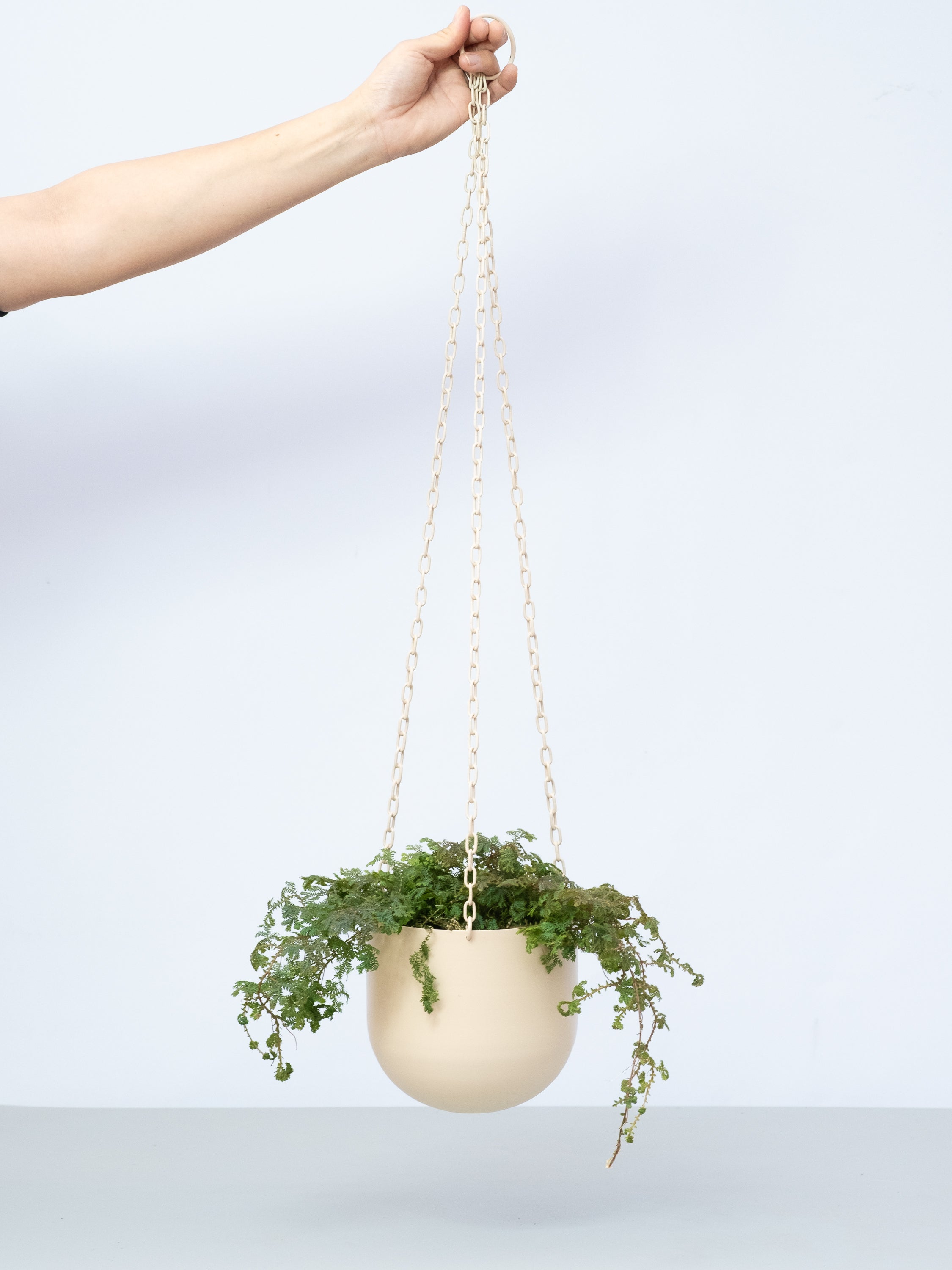 【一点もの】レインボーファン -ハンギング-