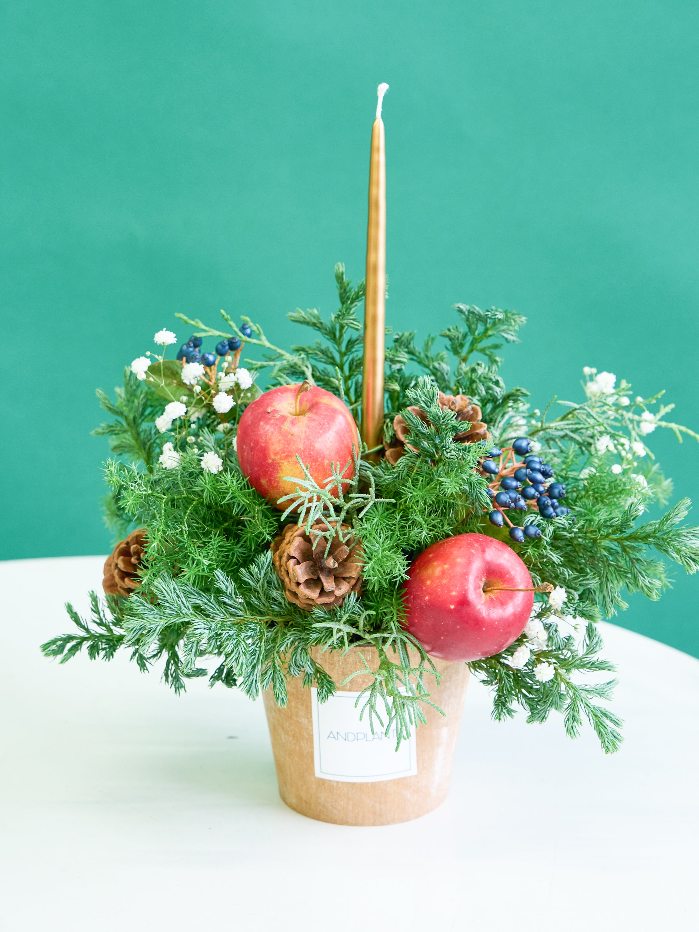 クリスマス】森のキャンドルアレンジメント S | お花の通販AND PLANTS