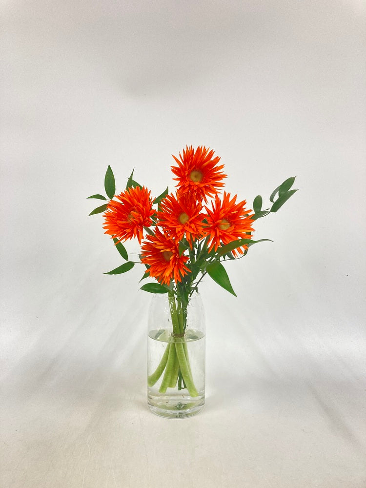 ガーベラの花束 5本 - オレンジ -