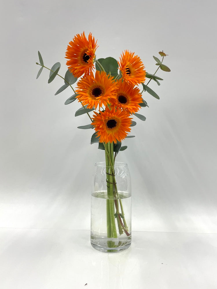 ガーベラの花束 5本 - オレンジ -
