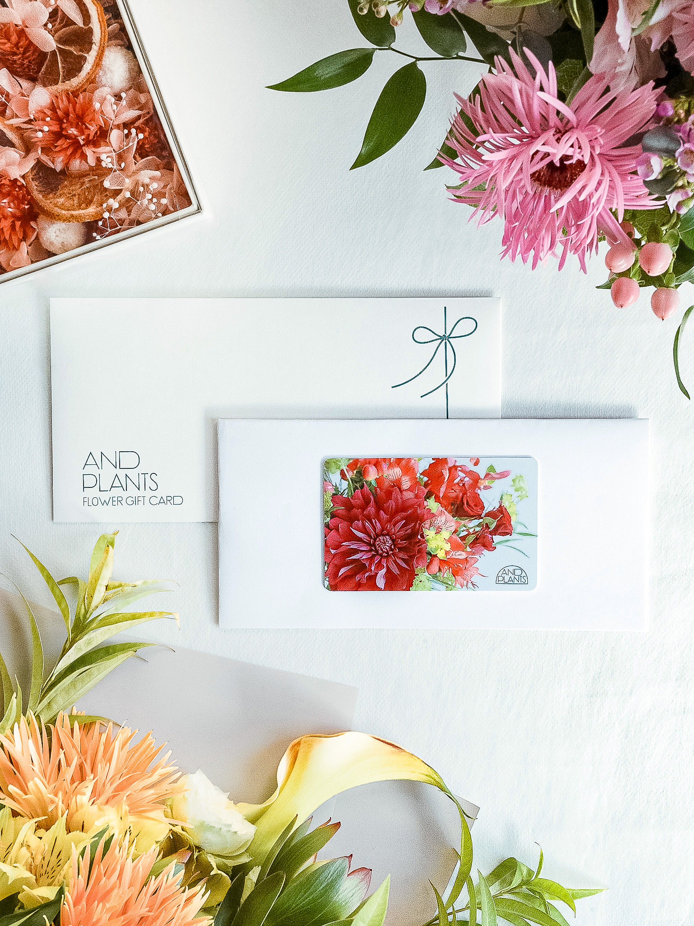 【フラワーギフトチケット】AND PLANTS Flower Gift Ticket Medium