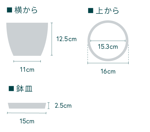 【クリスマス'24】ローソンヒノキ ”シルバースター”  -レッド- Table-L