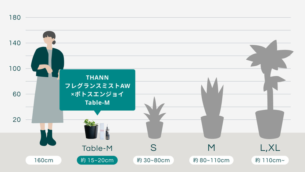 THANNフレグランスミストAW×ポトスエンジョイ Table-Mのサイズ