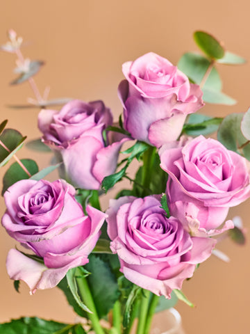 バラの花束 5本 - パープル -