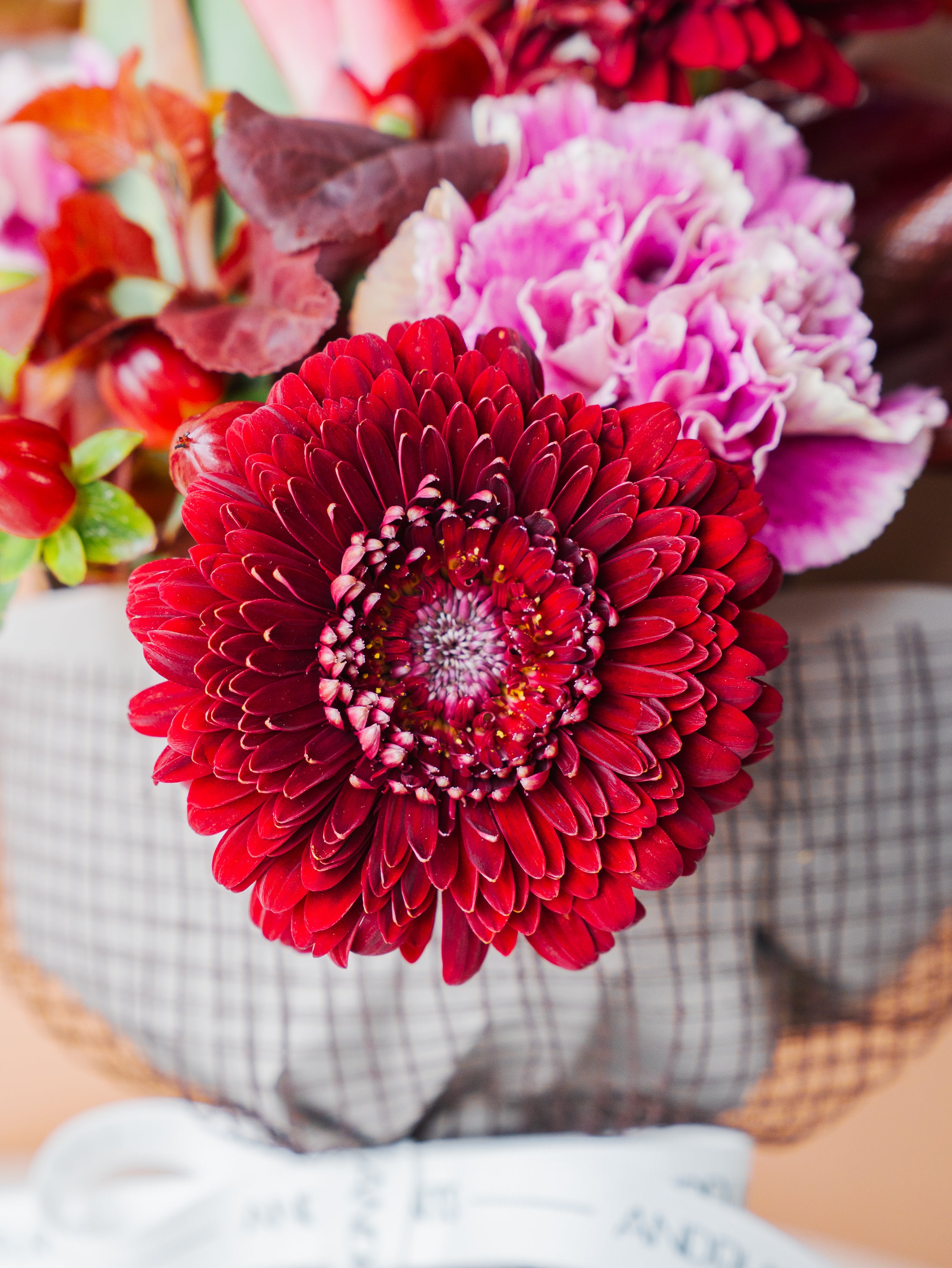 オータム】そのまま飾れる秋色ベロアレッドの花束 M | お花の通販AND