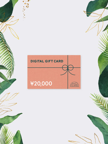 AND PLANTS GIFT CARD 20,000円