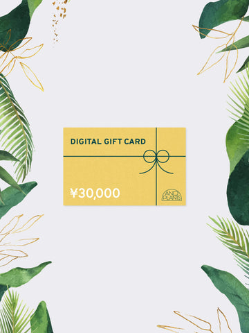 AND PLANTS GIFT CARD 30,000円