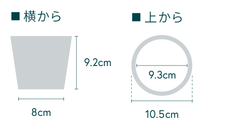 シマトネリコ Table-S