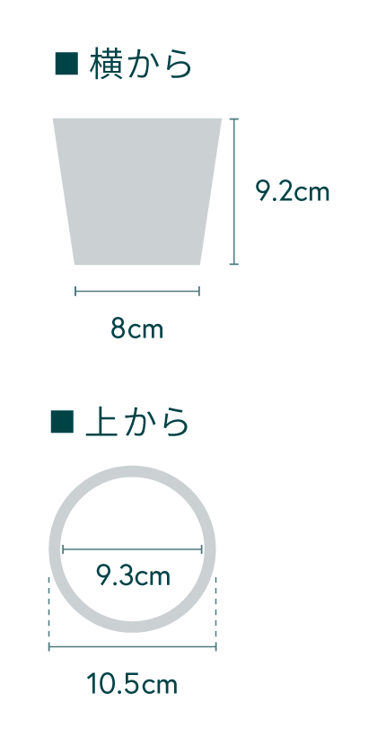 【クリアプランツ】オキシカルジューム Table-S
