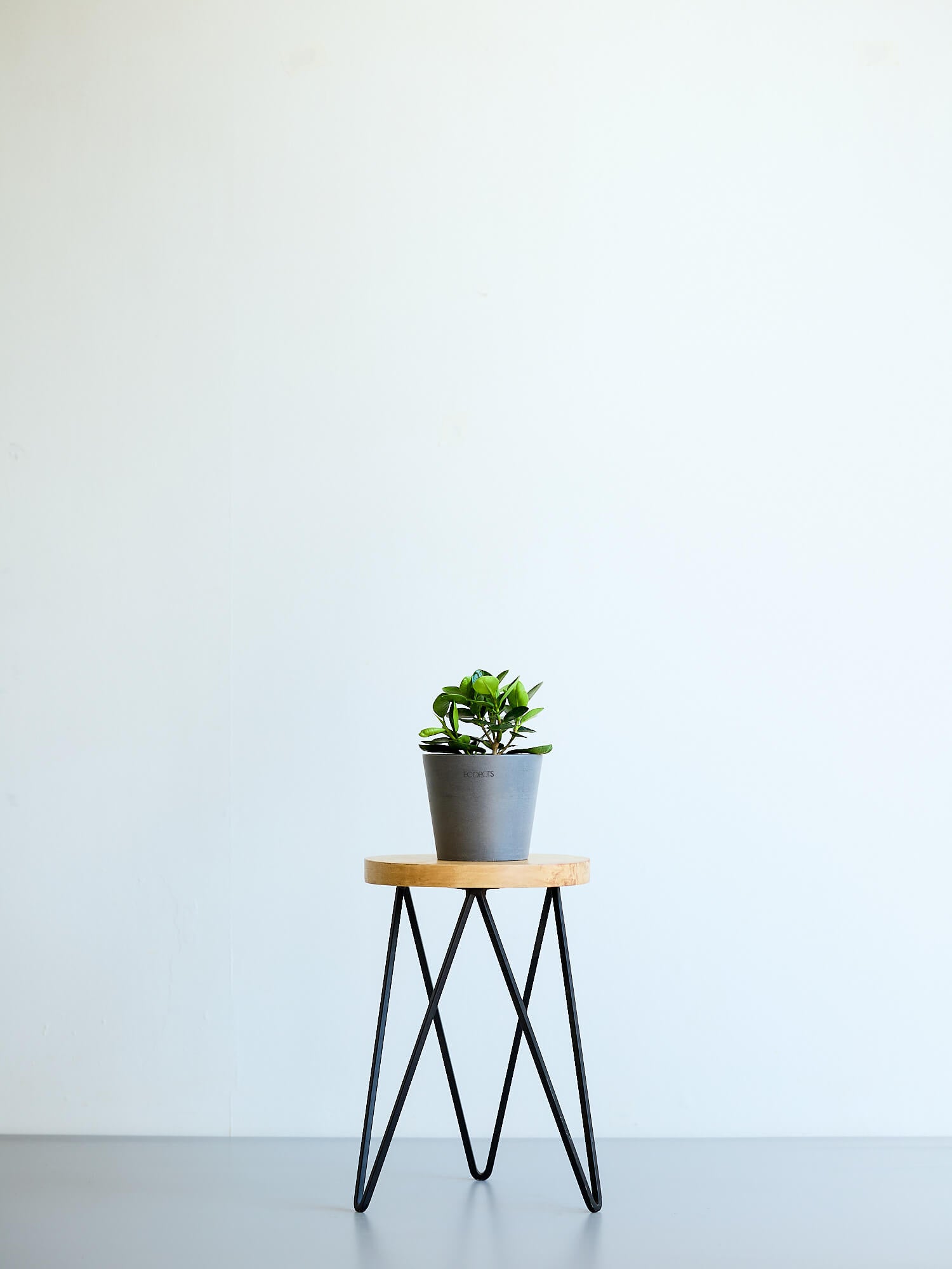 Plant Stand Iron - S