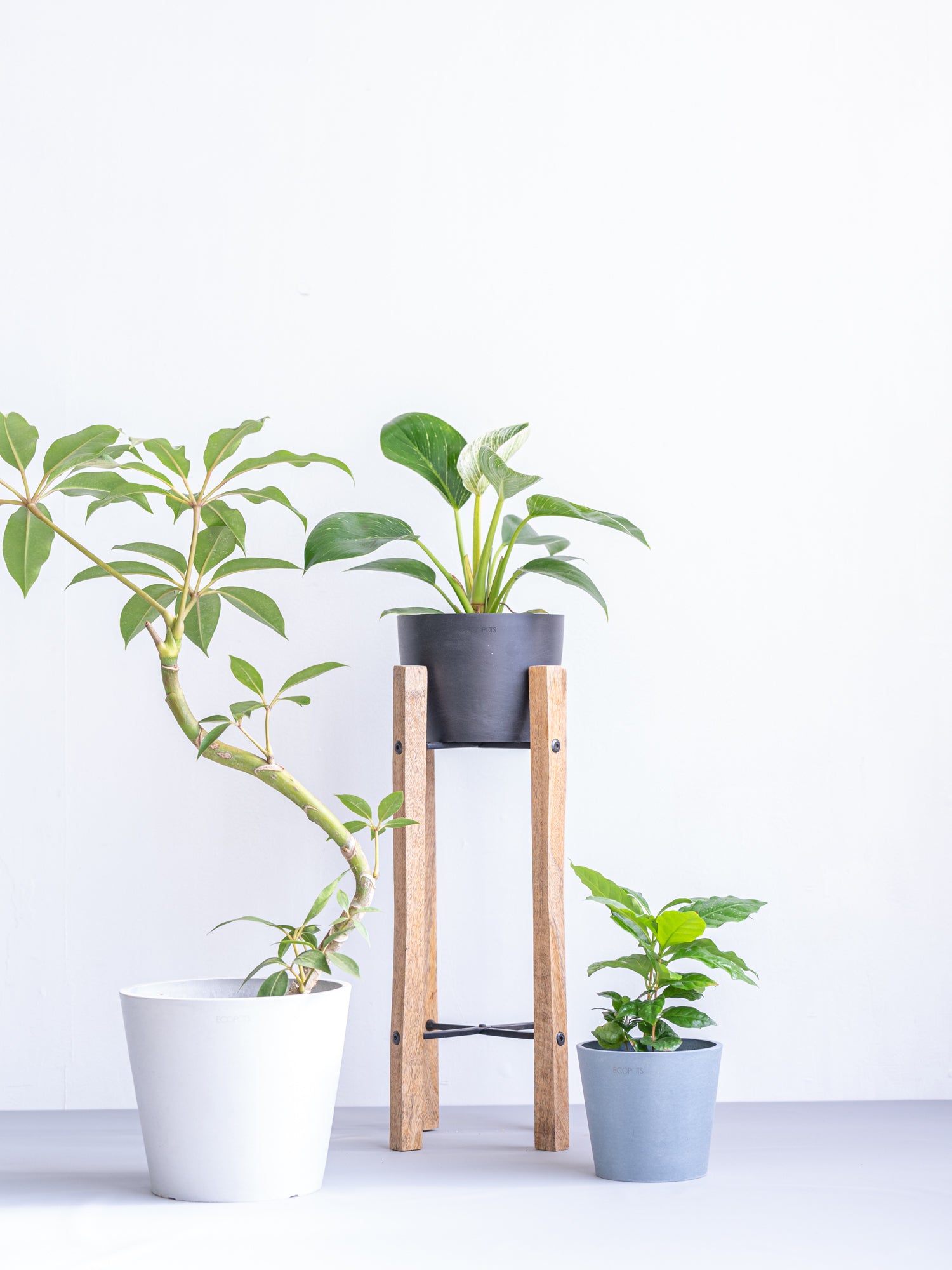 Plant Stand Wood - L