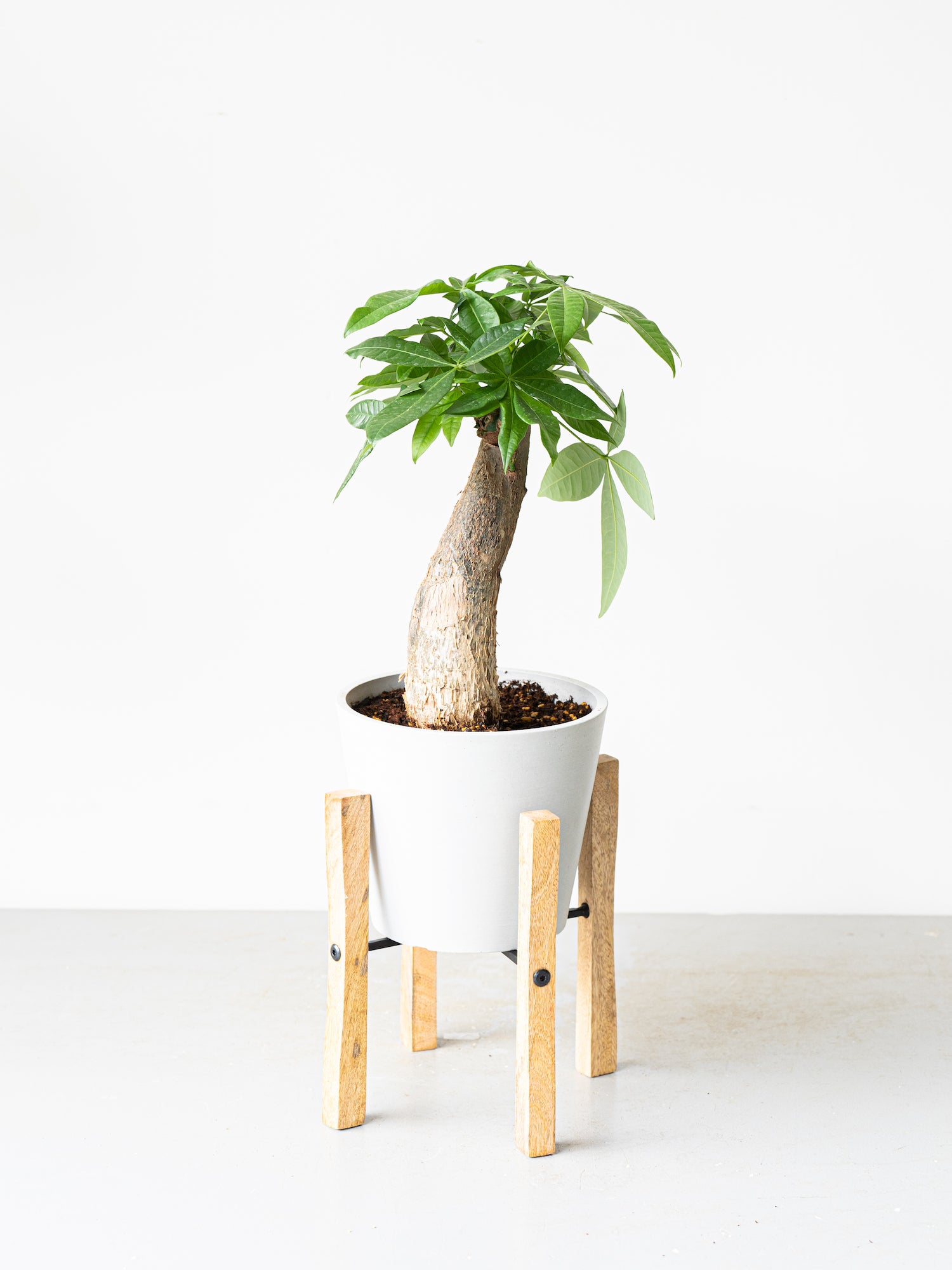 Plant Stand Wood - S