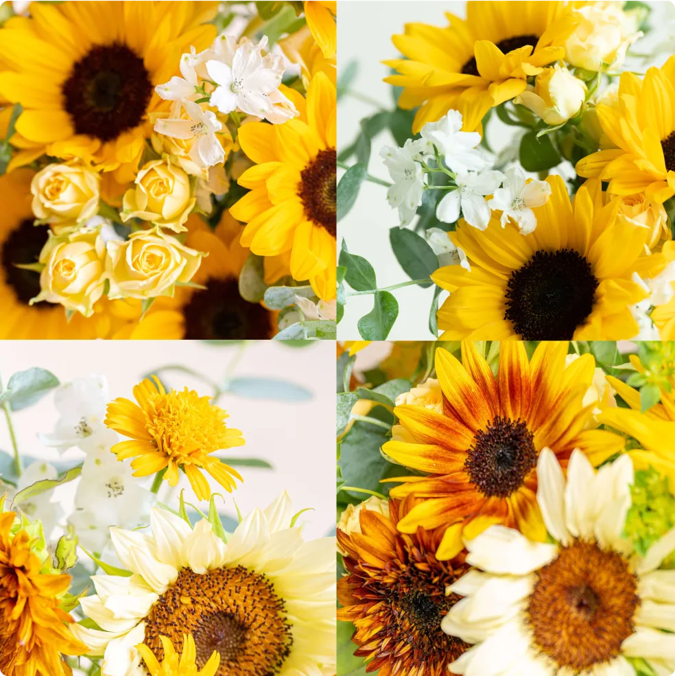 sunflowers_service_img_01