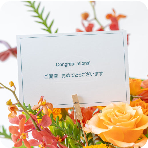法人向けギフト | 観葉植物・お花の通販 AND PLANTS (アンドプランツ)