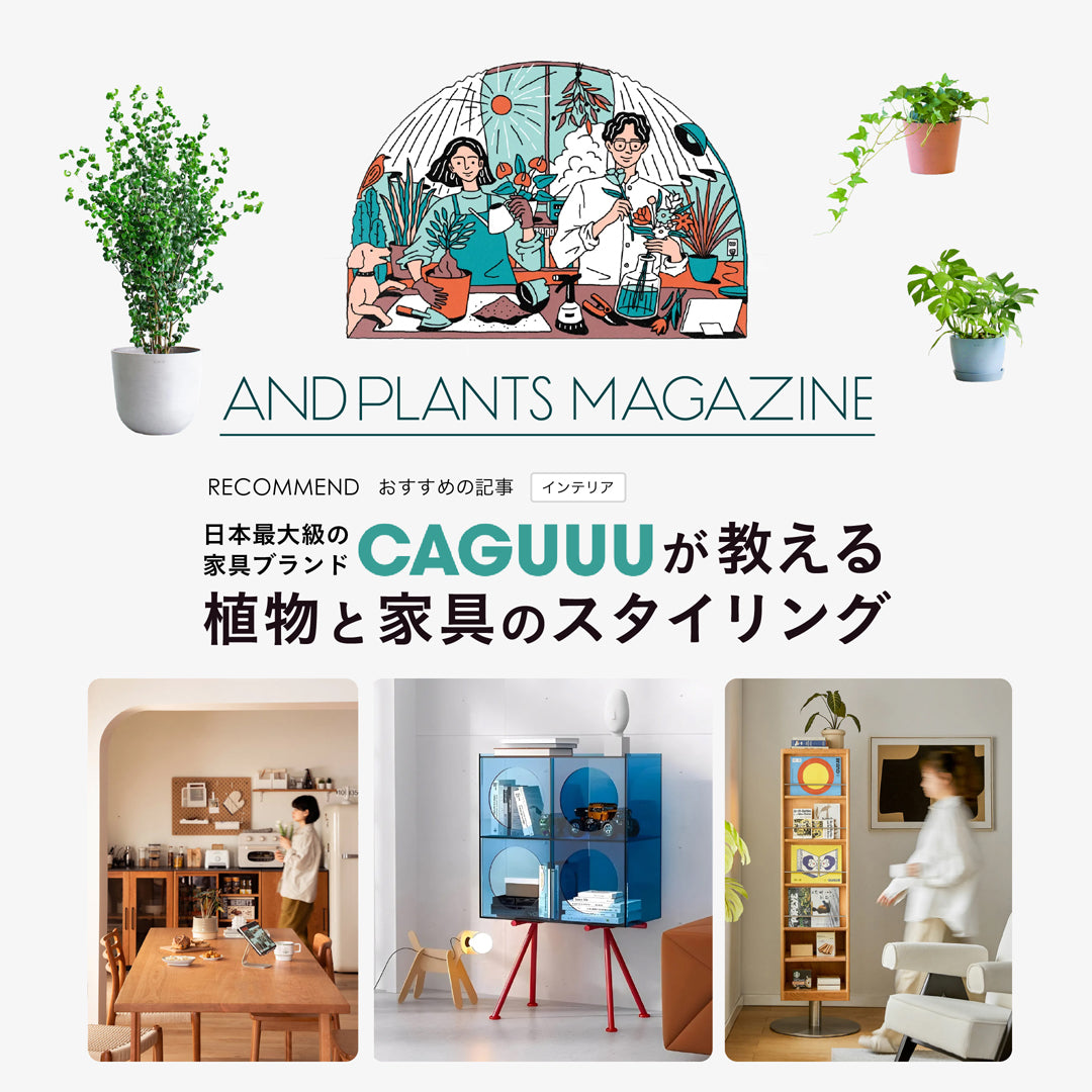 【CAGUUUが教える】植物と家具のスタイリング