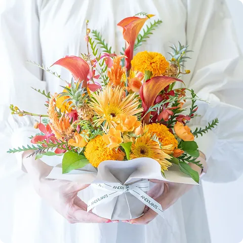 アレンジメントM