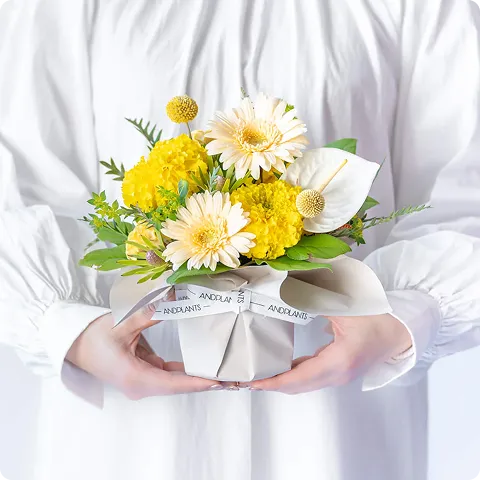 アレンジメントS