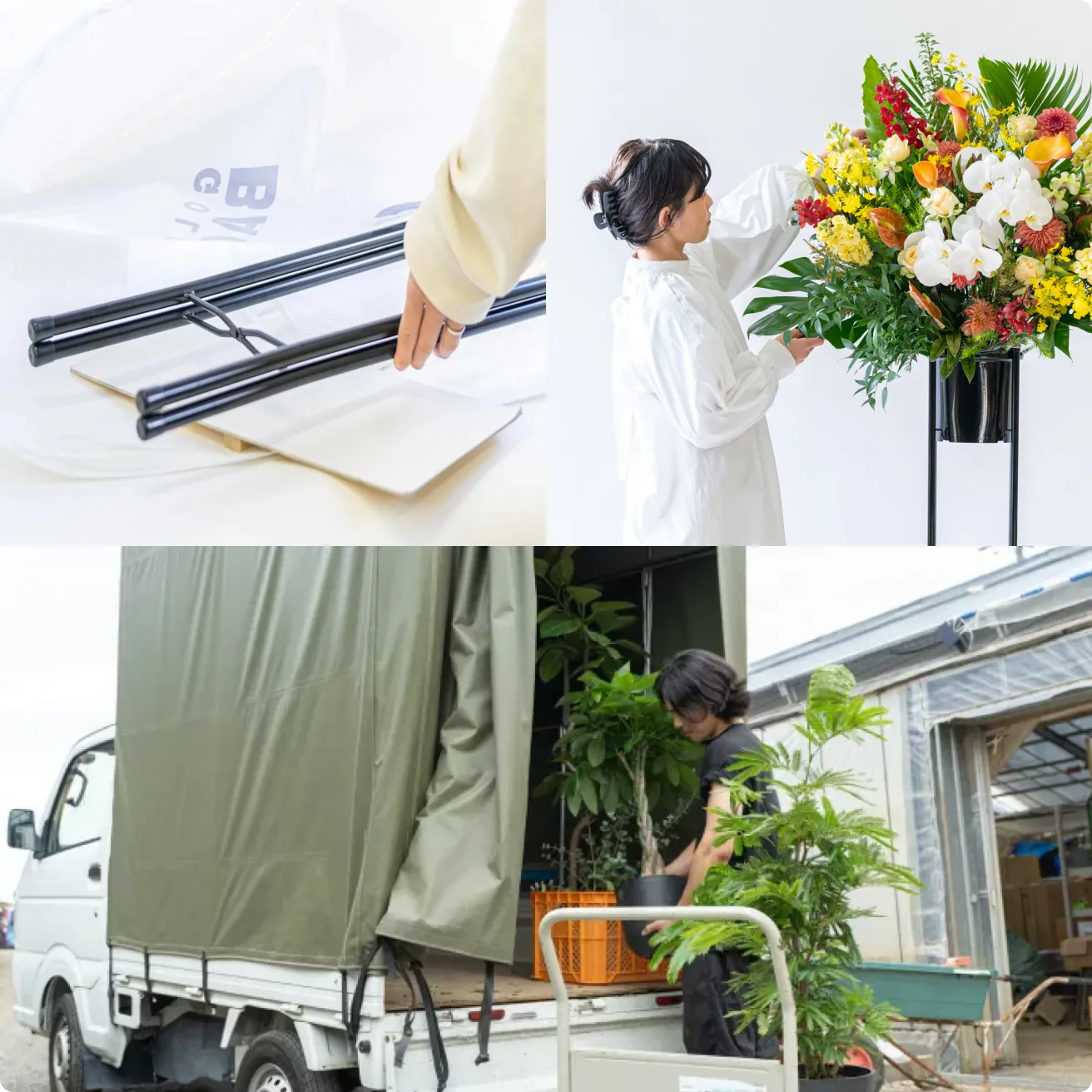 sunflowers_features_img_02