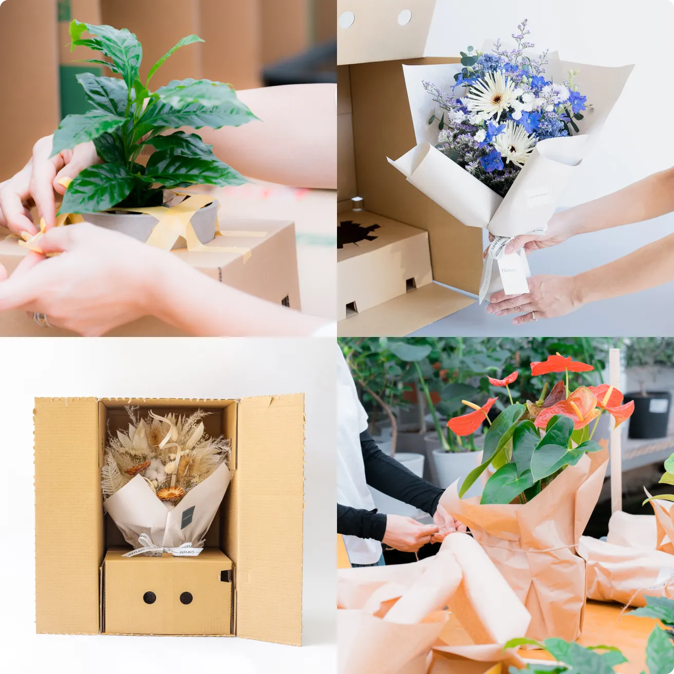 sunflowers_service_img_03