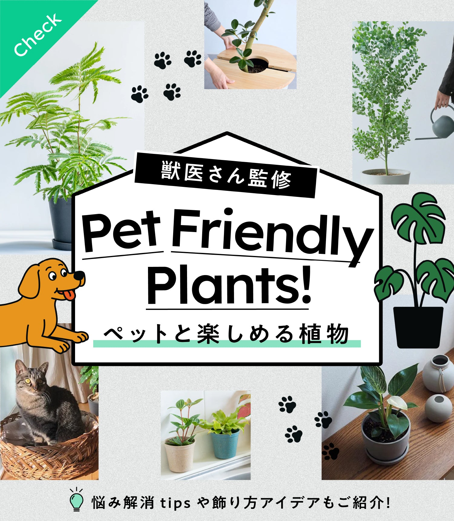 猫と楽しめる安全な植物