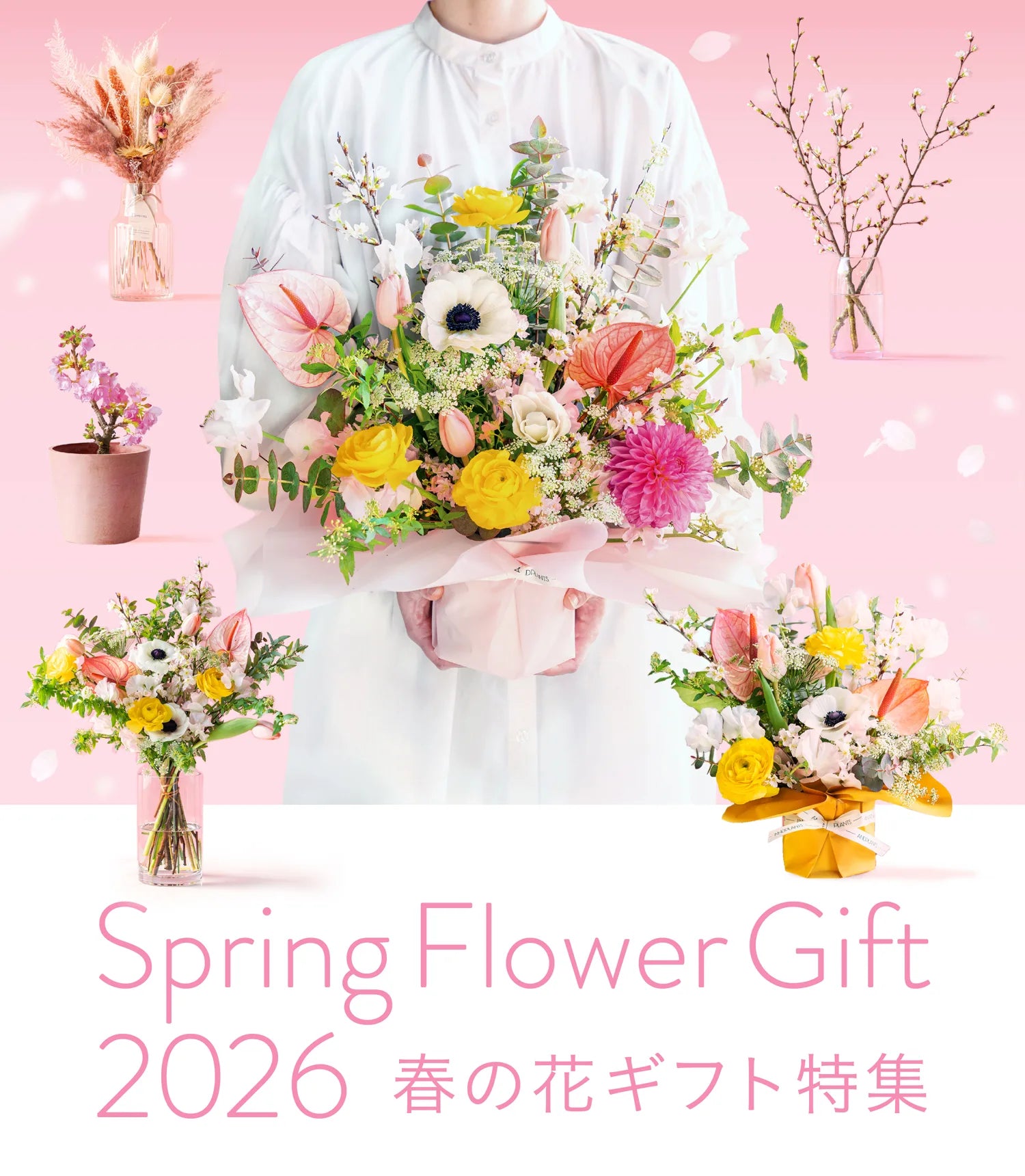 春の花ギフト特集 | 観葉植物・お花の通販 AND PLANTS (アンドプランツ)