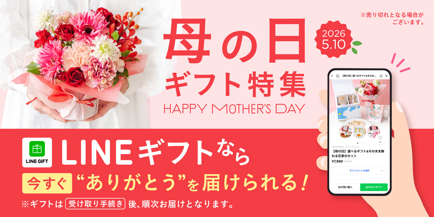 母の日ギフト特集