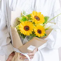 爽やかなひまわり