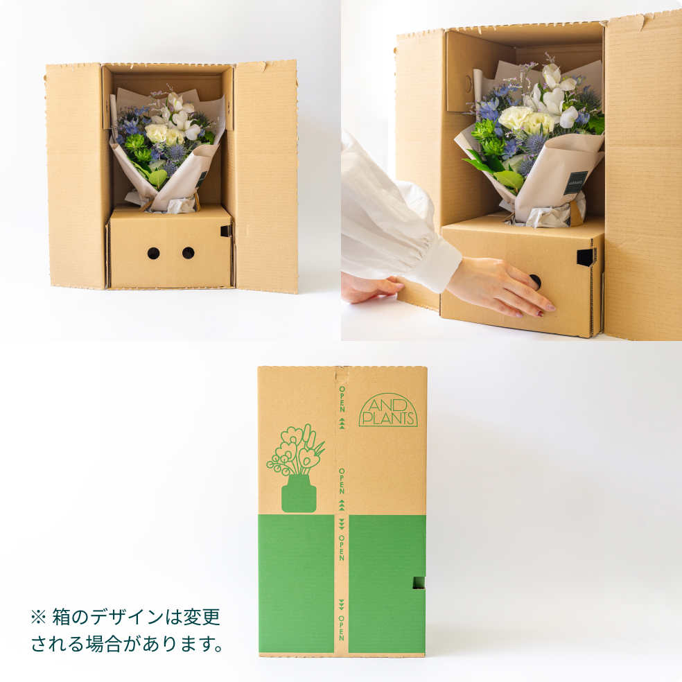 sunflowers_features_img_02