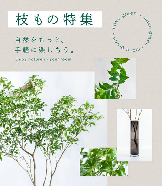 枝もの