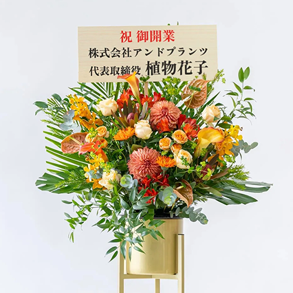 開業祝い・開店祝い・開院祝いにおすすめの花 | お花の通販ならアンドフラワー