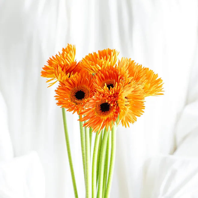 小ロットから注文可能