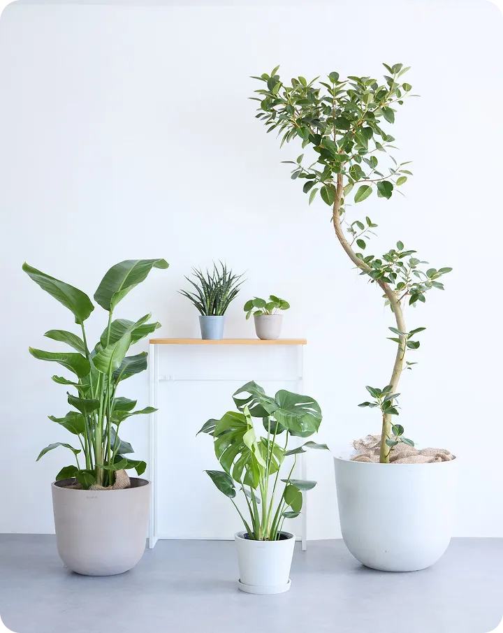 corporate_top_aboutus_04