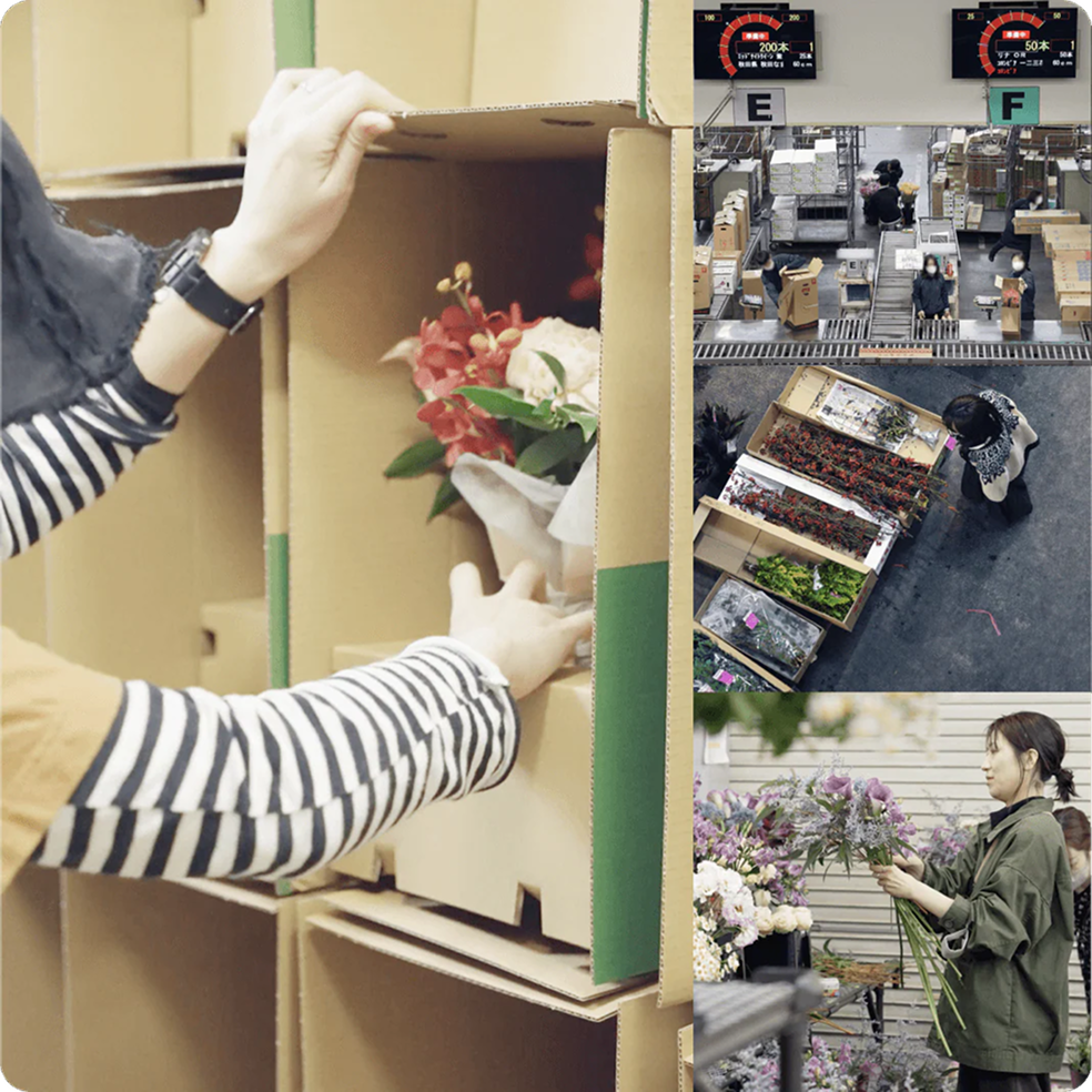 sunflowers_features_img_02