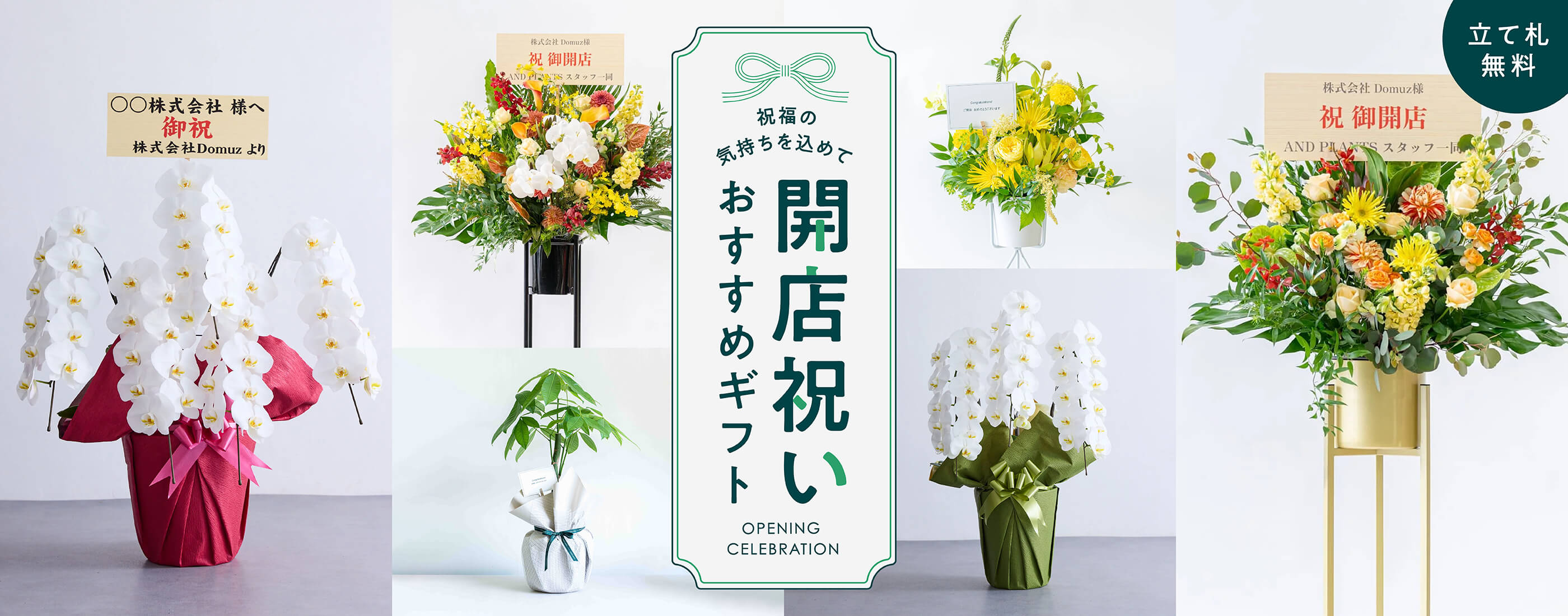 開業祝い・開店祝い・開院祝いにおすすめの花 | お花の通販ならアンドフラワー