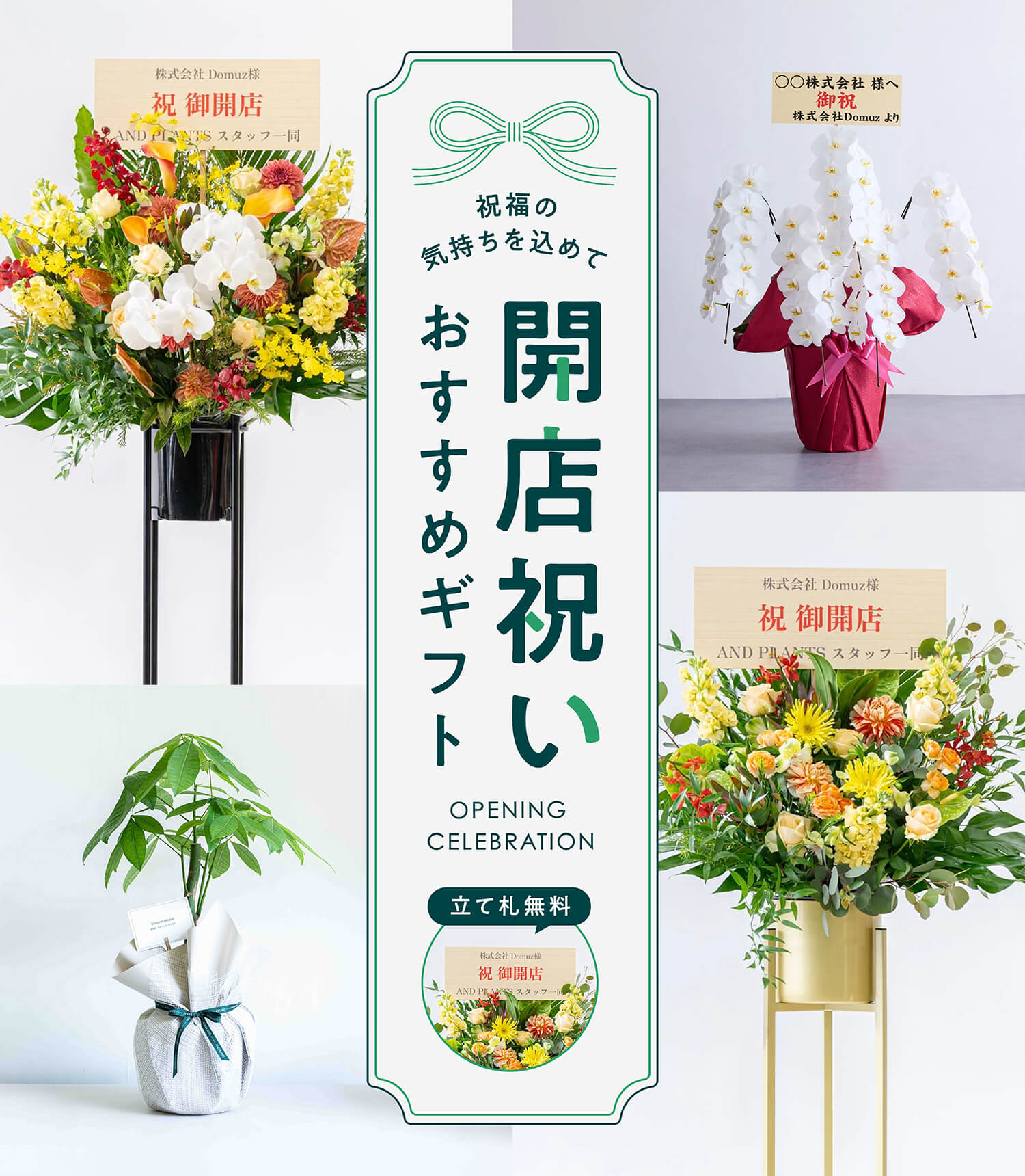 開店祝いにおすすめの花 | 観葉植物・お花の通販 AND PLANTS (アンドプランツ)