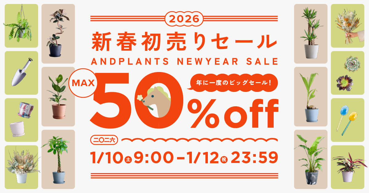 パーソナル植物診断