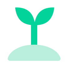 株の安定感が増す素材感