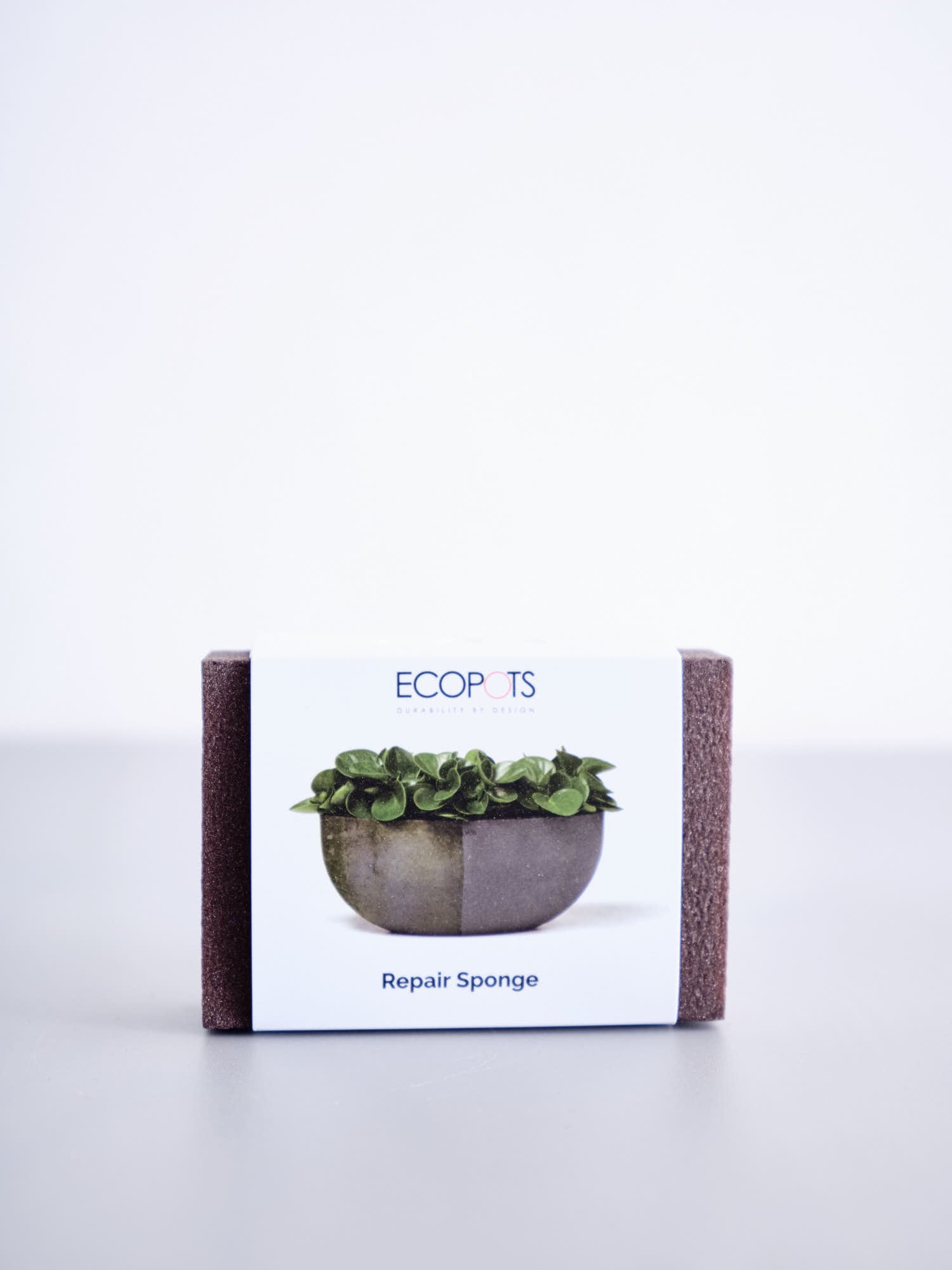 植木鉢 L ECOPOTS Amsterdam | 観葉植物の通販 AND PLANTS (アンド