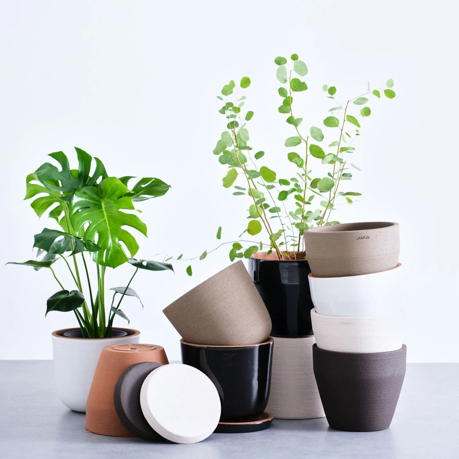 植木鉢 Table-L CERAPOTS Bolin15_point0