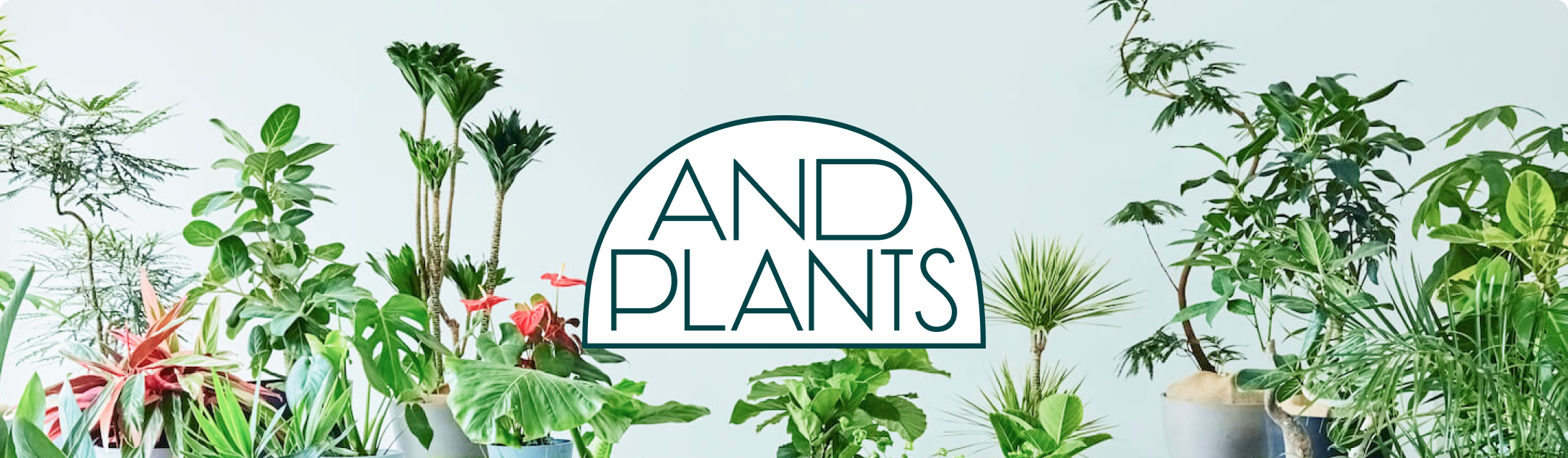 AND PLANTS 観葉植物ショップ